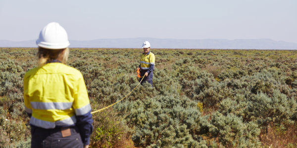 Фото – Fortescue заинтересовалась разработкой железной руды в Гвинее