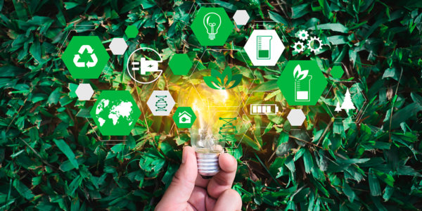 Фото – Екологічна політика: які завдання стоять перед депутатами