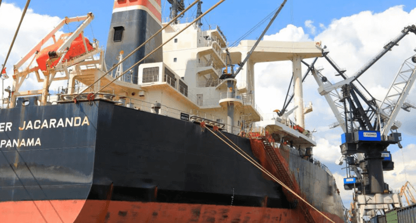 Порт «Южный» в 2019 году перевалил рекордные 15 млн т грузовПорт «Южный» в 2019 году перевалил рекордные 15 млн т грузов (c) www.port-yuzhny.com.ua