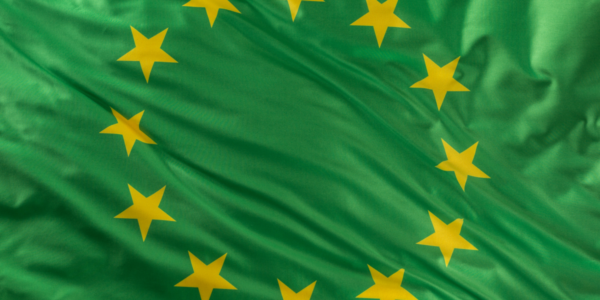Фото – Евросоюз намерен пересмотреть дорожную карту European Green Deal