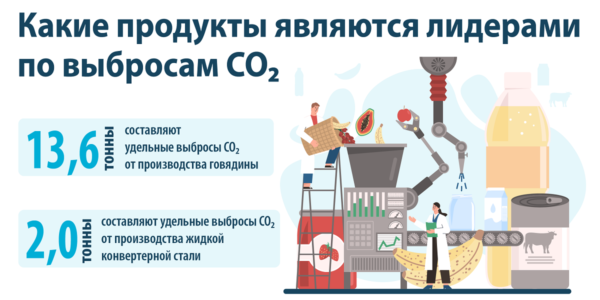 Фото – Какие продукты являются лидерами по выбросам СО2