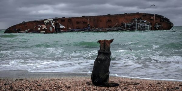 Фото – Водні ресурси: запаси суднового брухту в Україні сягають 1,2 млн т