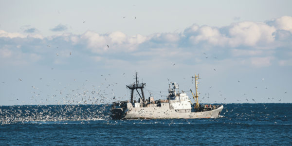 Фото – РФ розблокувала маршрут від Босфору до Одеси в Чорному морі