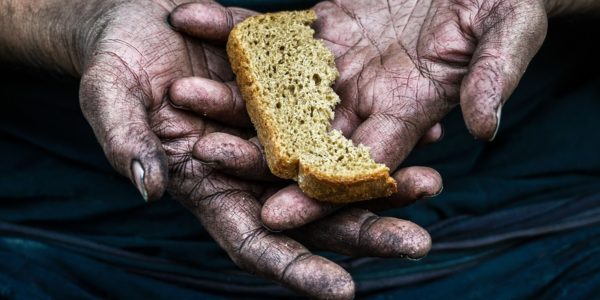 Фото – Вторгнення Росії в Україну загрожує світу дефіцитом продовольства