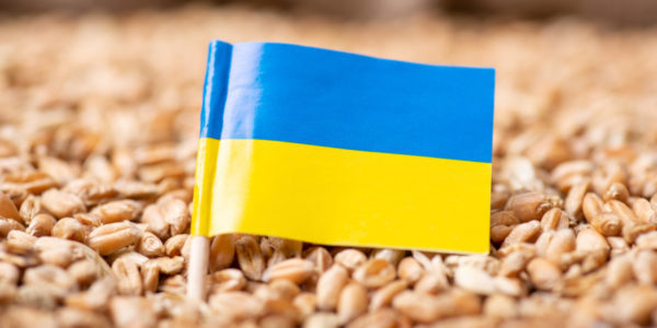 Фото – Великобритания намерена отменить тарифы и квоты на товары из Украины