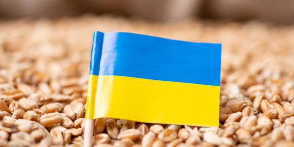 Photo – Decreasing grain export from Ukraine can cause global food shortage